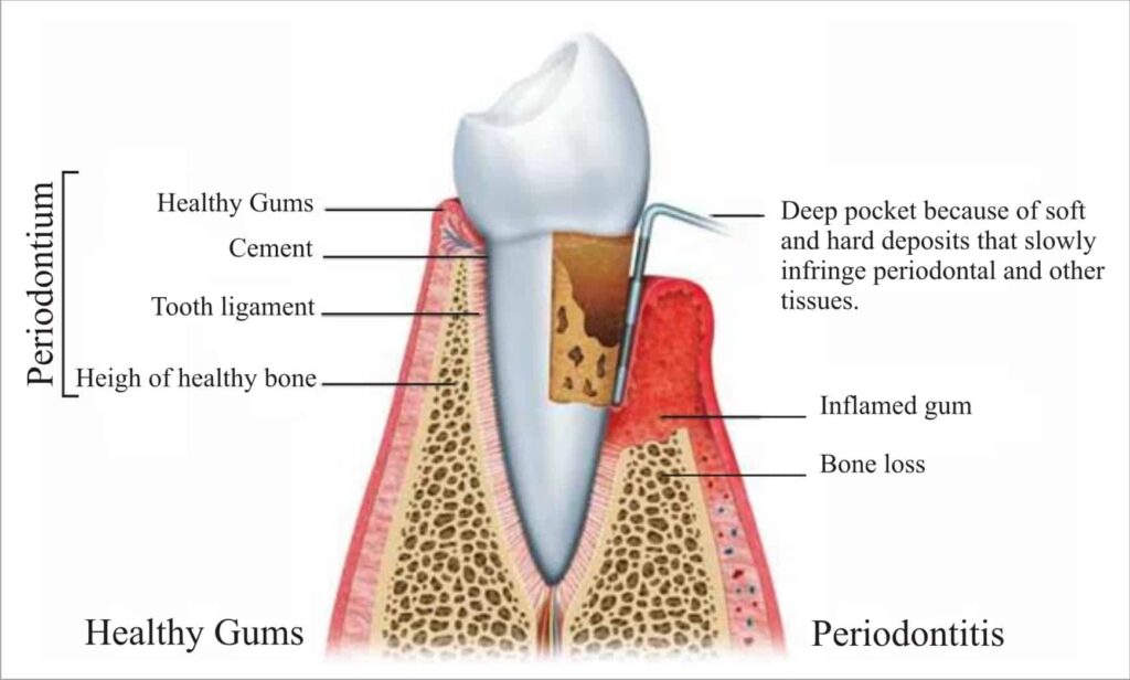 Periodontist-Sherman-2